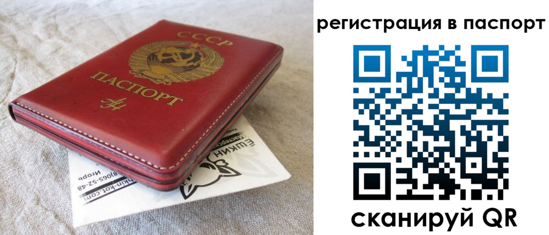 где прописаться в Россоши
